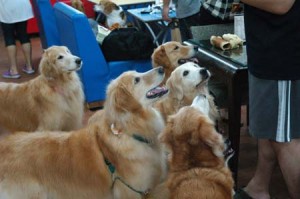 1380944189-3577053720