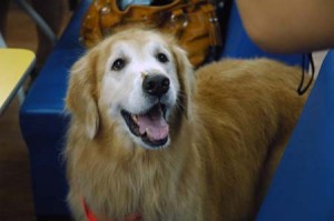 1380944190-4259276675