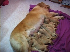 1380944190-904028182