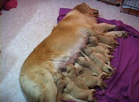 1380944190-904028182