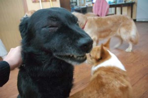 1380944191-3153077346