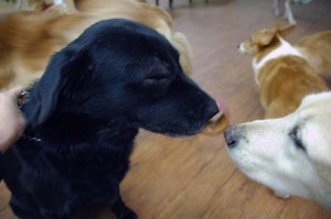 1380944194-969447832