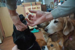 1380944195-2659082139