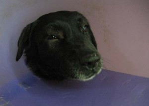 1380944197-1332789181