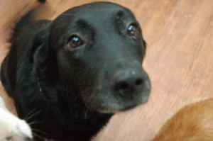 1380944199-2189786691