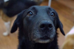 1380944200-1951853319