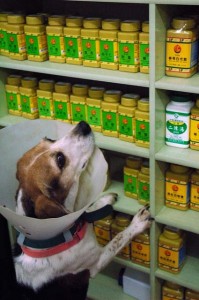 1380944202-2390387923