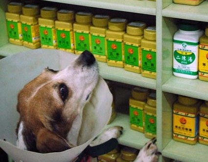 1380944202-2390387923