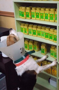 1380944202-2660793313