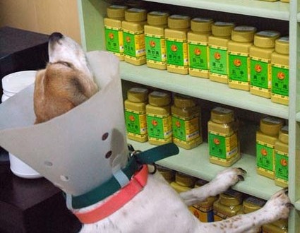 1380944202-2660793313