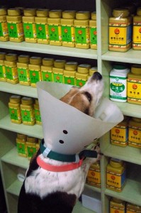 1380944202-3578015020