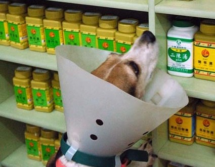 1380944202-3578015020