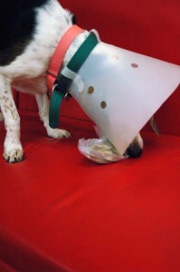 1380944203-3811139991