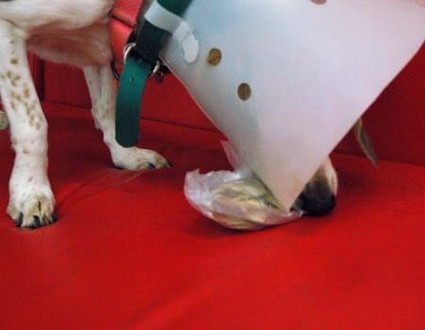 1380944203-3811139991