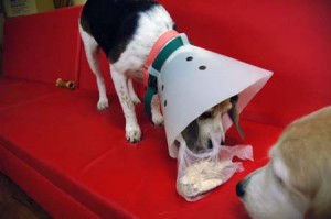 1380944204-3902928588