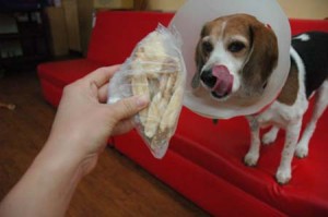 1380944205-2286580726