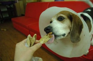 1380944205-3280118256