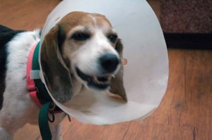 1380944206-2370583705