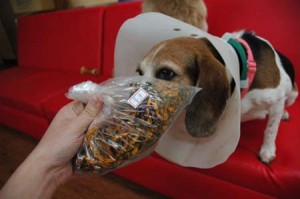 1380944206-2685568345