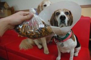 1380944207-1303934258