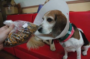 1380944207-861133063