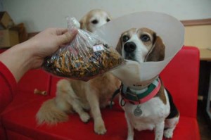 1380944208-1679320183