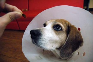 1380944208-2690272441