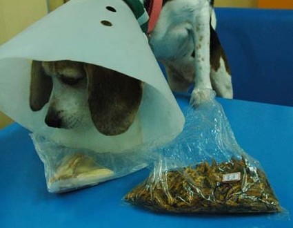 1380944209-2366506632