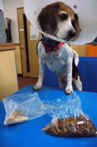 1380944209-3288214261