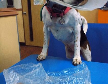 1380944209-3288214261