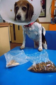 1380944210-835999391