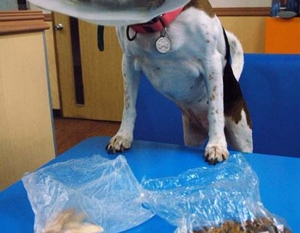 1380944210-835999391