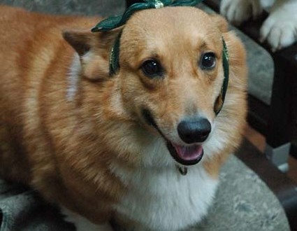 1380944211-1437438164