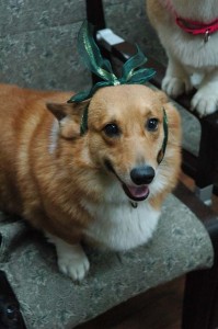 1380944211-1437438164