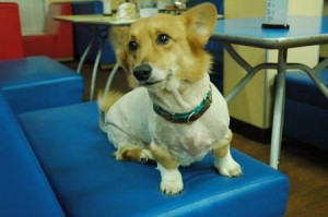 1380944212-1969514940