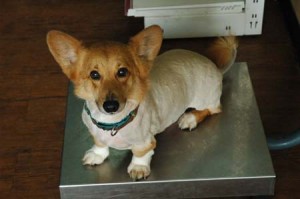 1380944212-2641727770