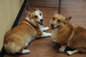 1380944213-3110075146