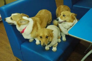 1380944213-3402342680