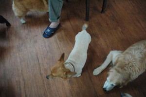 1380944213-808674524