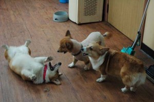 1380944214-1855643567