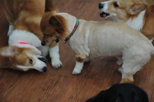 1380944214-2552381050