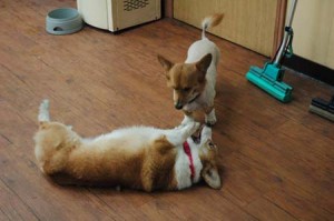 1380944214-3066074814