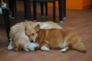 1380944215-2721927113