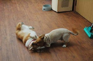 1380944215-4039327438