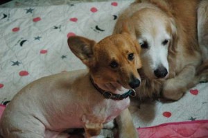 1380944216-4025616891