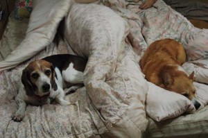 1380944216-883932238