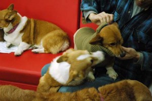 1380944217-2143225226