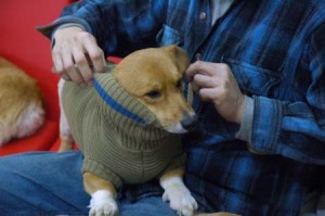 1380944217-409208580