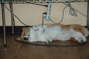 1380944225-3462761139