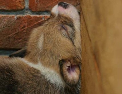 1380944225-3563013465